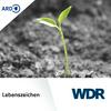 undefined WDR Lebenszeichen