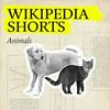 undefined Wikipedia Shorts: Animals