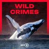 undefined Wild Crimes