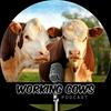 undefined Working Cows - Regenerative Ranching to Maximize Profitability and Soil Health