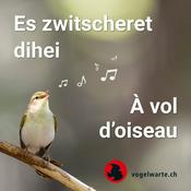 Podcast À vol d'oiseau