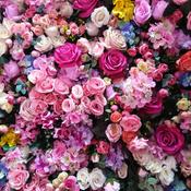 Podcast Abdullah Matrood - عبد الله مطرود