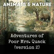 Podcast Adventures of Poor Mrs. Quack (version 2)