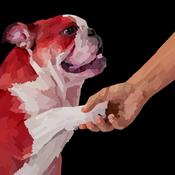 Podcast Who's Behind the Bulldog?