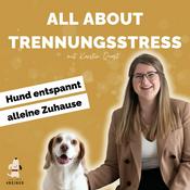 Podcast All About Trennungsstress | Hund entspannt alleine Zuhause 🐶 🏠