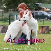 Podcast Alles Hund
