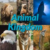 Podcast Animal Kingdom