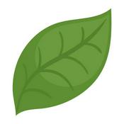 Podcast AP Biology cheat sheet