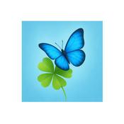 Podcast Augenblicksblinken