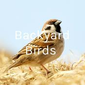 Podcast Backyard Birds