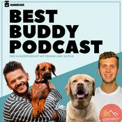 Podcast Best Buddy Podcast | mit Hundetrainer Dennis Hundacker und Justus Reich von Alpenwuff