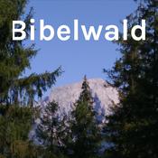 Podcast Bibelwald