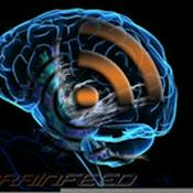Podcast Brain Feed
