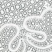 Podcast Breakout 6’s bingeworthy shows