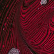 Podcast Caleb Jones' Podcast