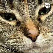 Podcast Cats are interesting