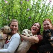 Podcast Christmas Sisters Jingle Everyday