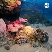 Podcast Coral reefs podcast Ft. Dr Henrick