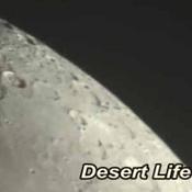 Podcast Desert Life