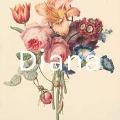 Podcast Diana
