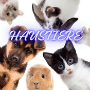 Podcast Die Haustier-Podkatze