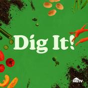 Podcast Dig It!