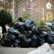 Podcast Do Your Part