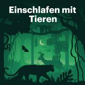 Podcast Einschlafen mit Tieren