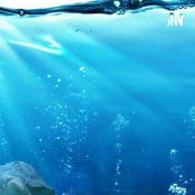 Podcast El BOOM que Nadie Conoce