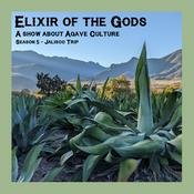 Podcast Elixir of the Gods