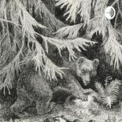 Podcast En sommernatt på Krogskogen