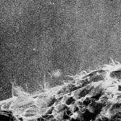 Podcast ENDLINGS Music