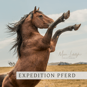Podcast Expedition Pferd