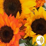 Podcast friends with benefits