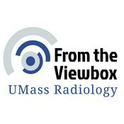 Podcast From The ViewBox