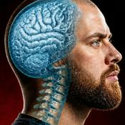 Podcast Master Your Mind | Podcast
