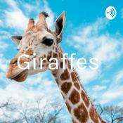 Podcast Giraffes