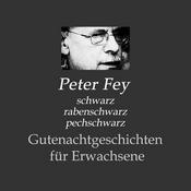 Podcast Gutenachtgeschichten für Erwachsene