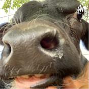 Podcast Hannah’s and Tripp’s time