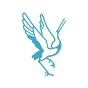 Podcast High Asia Podcast | ས་མཐོ་གྲོས་ར།