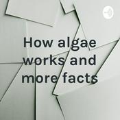 Podcast How algae works and more facts