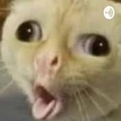 Podcast I review things