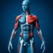 Podcast Ich und mein Körper