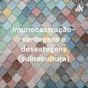 Podcast Imunocastração- vantagens e desvatagens (suinocultura)