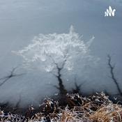 Podcast Käferwelt und Vogelsang