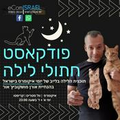 Podcast חתולי לילה - איקומרס | וול סטריט | קריפטו