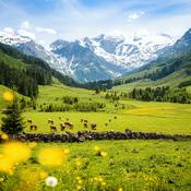 Podcast Kousek Rakouska