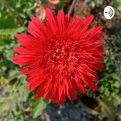 Podcast कविता