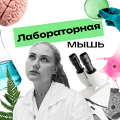 Podcast Лабораторная мышь