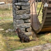 Podcast Life With Josh and Zach